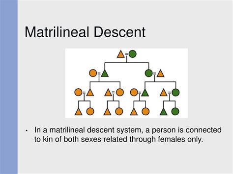 Matrilinear Definition & Meaning .